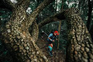 BIB: 
                            <button type="button" onclick="openModal(25393227)" class="btn btn-primary btn-sm float-right btn-popup" data-toggle="modal" data-target=".modal-high-quality">
                        <i class="fas fa-shopping-cart"></i> Add to Cart
                    </button>
                                            <button type="button" onclick="isThisMe(25393227, true)" class="btn btn-success btn-sm float-right btn-popup btn-isme hidden" data-toggle="tooltip" data-placement="bottom" title="นี่คือรูปของคุณใช่ไหม คลิกที่นี่เพื่อเอาเข้าอัลบั้ม">
                        <i class="fas fa-plus"></i> Add to album
                    </button>
                    <button type="button" onclick="isThisMe(25393227, false)" class="btn btn-warning btn-sm float-right btn-popup btn-isnotme hidden">
                        <i class="fas fa-ban"></i> Remove from album
                    </button>